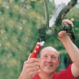 Пила садовая ручная с чехлом Wolf-Garten RE-FK 410