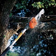 Высоторез бензиновый STIHL HT 103